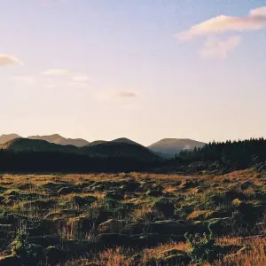 Explore Crater lakes, floral splendor and world cultural heritage (road trip) for 11 days with DERTOUR and discover unforgettable experiences - Photo 6