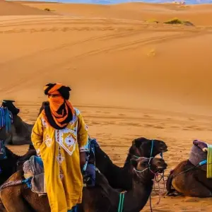 Explore Marrakech To Fes with luxury Camp-3 days for 3 days with Desertbrise Travel and discover unforgettable experiences - Photo 4
