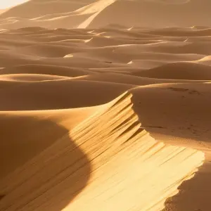 Explore 3 Days Desert Tour from Agadir to Chigaga for 3 days with Desertbrise Travel and discover unforgettable experiences - Photo 10