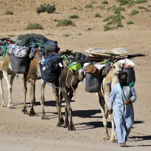 Explore 4 Days Camel Trekking Morocco  Desert for 4 days with Desertbrise Travel and discover unforgettable experiences - Photo 4