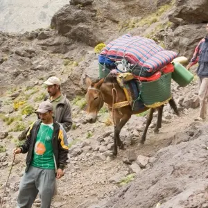 Explore 4-Day  Berber villages & Mt Toubkal Ascent for 4 days with Desertbrise Travel and discover unforgettable experiences - Photo 6