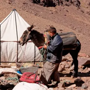 Explore 4-Day  Berber villages & Mt Toubkal Ascent for 4 days with Desertbrise Travel and discover unforgettable experiences - Photo 8