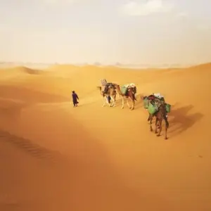 Explore 4 Days Camel Trekking Morocco  Desert for 4 days with Desertbrise Travel and discover unforgettable experiences - Photo 9