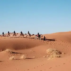 Explore 6 Days Camel Trek in Morocco Desert for 6 days with Desertbrise Travel and discover unforgettable experiences - Photo 2