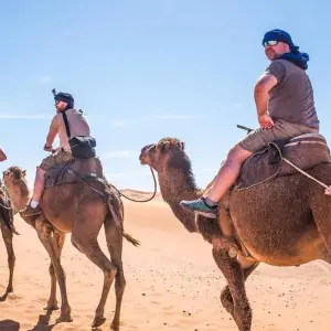 Explore Authentic South Journey for 7 days with Desertbrise Travel and discover unforgettable experiences - Photo 2