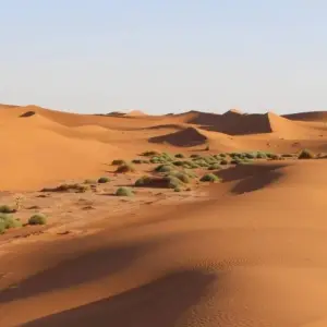 Explore 7 Days Atlas Mountains Toubkal to Sahara & Erg Chegaga for 7 days with Desertbrise Travel and discover unforgettable experiences - Photo 7