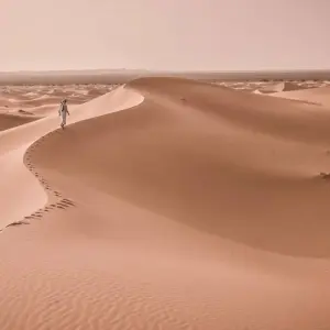 Explore 7 Days Trek from Toubkal to Erg Chebbi for 7 days with Desertbrise Travel and discover unforgettable experiences - Photo 8