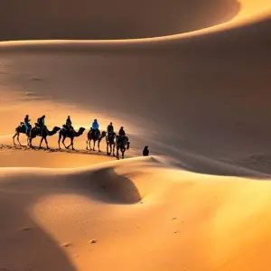 Explore 5 Days Tour Tangier Merzouga Marrakech for 5 days with Desertbrise Travel and discover unforgettable experiences - Photo 9