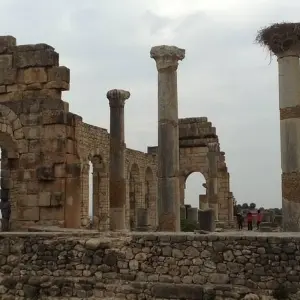 Explore 15 Days Morocco Desert and Imperial Cities for 15 days with Desertbrise Travel and discover unforgettable experiences - Photo 4