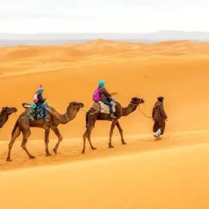 Explore Discover Tangier, Sahara Desert & Marrakech for 6 days with Desertbrise Travel and discover unforgettable experiences - Photo 2
