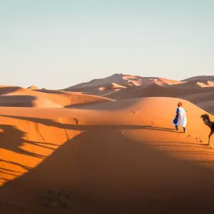 Explore Morocco Imperial Cities and Desert-11 Days for 11 days with Desertbrise Travel and discover unforgettable experiences - Photo 6