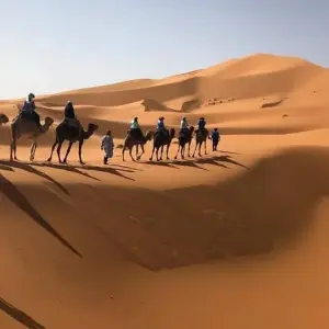 Explore Fes to Merzouag Desert and back in 3 days for 3 days with Desertbrise Travel and discover unforgettable experiences - Photo 3