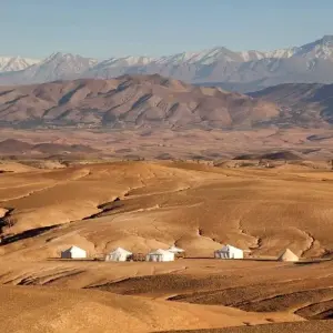 Explore Agafay Desert Dinner show  with quad bike and camel Ride for 1 days with Desertbrise Travel and discover unforgettable experiences - Photo 4