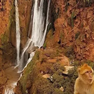 Explore From Marrakech: Ouzoud Waterfalls Guided Hike and Boat Trip for 1 days with Desertbrise Travel and discover unforgettable experiences - Photo 5