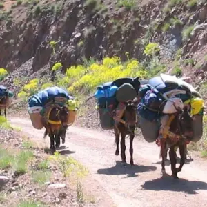 Explore 2 days Toubkal Trek for 2 days with Desertbrise Travel and discover unforgettable experiences - Photo 6