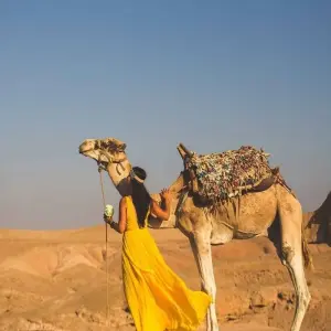 Explore Agafay Desert Dinner show  with quad bike and camel Ride for 1 days with Desertbrise Travel and discover unforgettable experiences - Photo 7