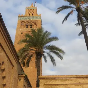 Explore Highlights of Morocco: Fes, Atlas Mountains, Dades Valley, Marrakech & Essaouira - 14 Days for 14 days with Desertbrise Travel and discover unforgettable experiences - Photo 2