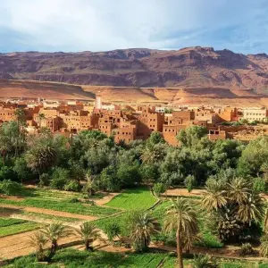 Explore Morocco Grand Tour: Cities, Mountains, and Desert - 14 Days for 14 days with Desertbrise Travel and discover unforgettable experiences - Photo 6