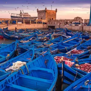 Explore Moroccan Cities from Coast to Coast - 14 Days for 14 days with Desertbrise Travel and discover unforgettable experiences - Photo 8