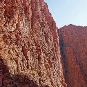 Explore Luxury Grand Tour: Casablanca Round Trip - 14 Days for 14 days with Desertbrise Travel and discover unforgettable experiences - Photo 8