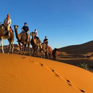 Explore South Morocco Adventure: Marrakech to Essaouira, Imlil, Skoura & Erg Chigaga - 14 Days for 14 days with Desertbrise Travel and discover unforgettable experiences - Photo 7