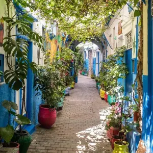 Explore Highlights of Morocco: Fes, Atlas Mountains, Dades Valley, Marrakech & Essaouira - 14 Days for 14 days with Desertbrise Travel and discover unforgettable experiences - Photo 11
