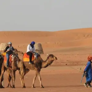 Explore Luxury Morocco Tour : Imperial Cities, Sahara Desert & Atlantic Coast - 15 Days for 15 days with Desertbrise Travel and discover unforgettable experiences - Photo 9