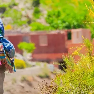 Explore South Morocco Adventure: Marrakech to Essaouira - 15 Days for 15 days with Desertbrise Travel and discover unforgettable experiences - Photo 8