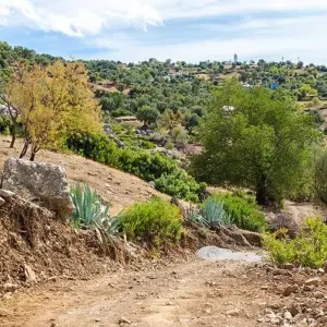 Explore Mediterranean Morocco: Tangier, Al Hoceima & Imperial Cities - 15 Days for 15 days with Desertbrise Travel and discover unforgettable experiences - Photo 9