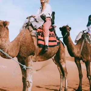 Explore Morocco's Imperial Cities & the Sahara Desert - 13 Days for 13 days with Desertbrise Travel and discover unforgettable experiences - Photo 4