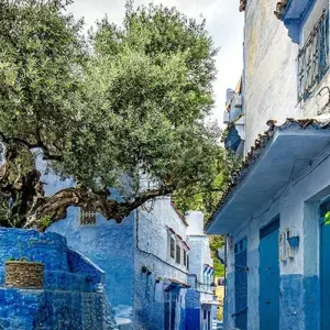 Explore Jewish Heritage & Historic Morocco - 15 Days for 15 days with Desertbrise Travel and discover unforgettable experiences - Photo 10