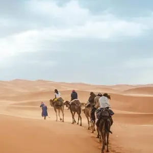 Explore Morocco for Families: Fes, Marrakech & Essaouira - 15 Days for 15 days with Desertbrise Travel and discover unforgettable experiences - Photo 9