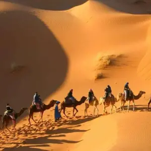Explore Morocco's Imperial Cities & the Sahara Desert - 13 Days for 13 days with Desertbrise Travel and discover unforgettable experiences - Photo 10