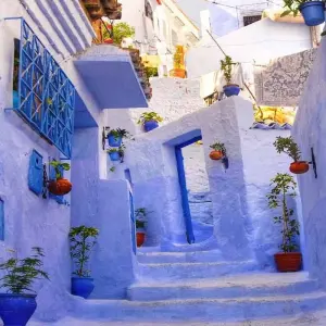 Explore Casablanca Round Trip: Luxury Escape to the Sahara - 13 Days for 13 days with Desertbrise Travel and discover unforgettable experiences - Photo 9