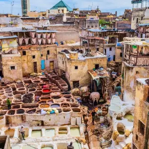 Explore Fes to Casablanca: Sahara Desert & Atlantic Coast - 12 Days for 12 days with Desertbrise Travel and discover unforgettable experiences - Photo 5