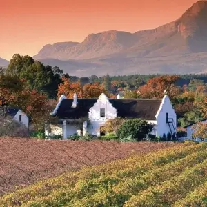Explore Cape In Style (from Gqeberha (Port Elizabeth)/to Cape Town) for 7 days with DERTOUR and discover unforgettable experiences - Photo 3