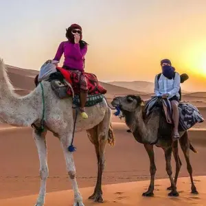 Explore Imperial Cities, Desert Grand Tour & Hiking in the Atlas - 12 Days for 12 days with Desertbrise Travel and discover unforgettable experiences - Photo 4