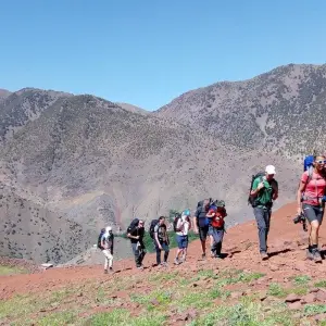 Explore Imperial Cities, Desert Grand Tour & Hiking in the Atlas - 13 Days for 13 days with Desertbrise Travel and discover unforgettable experiences - Photo 11