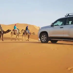 Explore Fes to Casablanca: Sahara Desert & Atlantic Coast - 12 Days for 12 days with Desertbrise Travel and discover unforgettable experiences - Photo 8