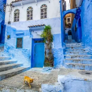 Explore Morocco Grand Tour: Cities, Desert & the Coast - 11 Days for 11 days with Desertbrise Travel and discover unforgettable experiences - Photo 5