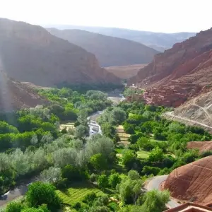 Explore Exploring Morocco's Imperial Cities and Natural Landscapes - 12 Days for 12 days with Desertbrise Travel and discover unforgettable experiences - Photo 9