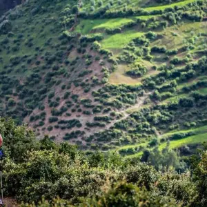 Explore Imperial Cities, Desert Adventures & Atlas Hiking - 11 Days for 11 days with Desertbrise Travel and discover unforgettable experiences - Photo 5