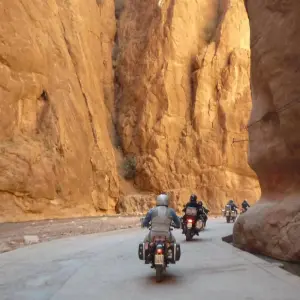 Explore Imperial Cities & Desert Grand Tour - 11 Days for 11 days with Desertbrise Travel and discover unforgettable experiences - Photo 7