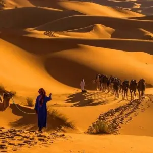 Explore Discover Morocco: Imperial Cities to the Atlas Mountains and the Coast- 11 Days for 11 days with Desertbrise Travel and discover unforgettable experiences - Photo 8
