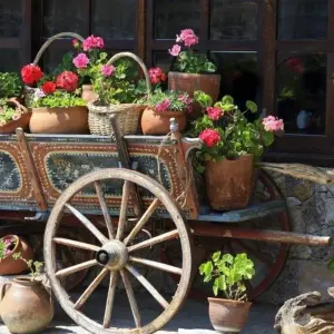 Explore Secrets of Bulgaria, Private Tour for 8 days with Destination Services Bulgaria and discover unforgettable experiences - Photo 6