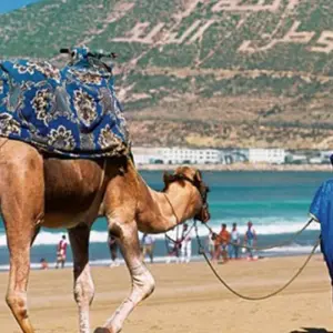 Explore Grand Morocco Tours from Casablanca, Luxury Camp – 20 days for 20 days with Desertbrise Travel and discover unforgettable experiences - Photo 11