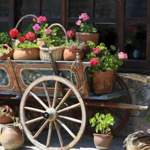 Explore Explore Bulgaria in a week, Self-Drive for 8 days with Destination Services Bulgaria and discover unforgettable experiences - Photo 3