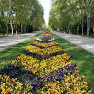 Explore Varna the Jewel of the Black Sea, City Break - Private Tour for 4 days with Destination Services Bulgaria and discover unforgettable experiences - Photo 10