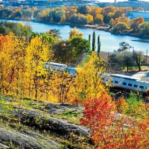 Explore Northern Europe's capital cities deluxe for 11 days with DERTOUR and discover unforgettable experiences - Photo 6