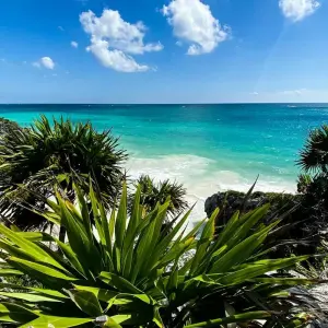 Explore Southern Baja California Deluxe for 7 days with DERTOUR and discover unforgettable experiences - Photo 4